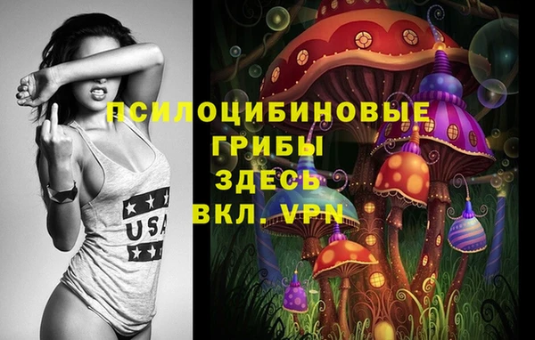 сатива Абинск