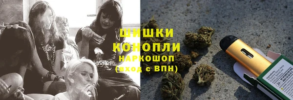 сатива Абинск